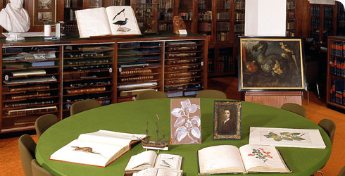 http://www.nhm.ac.uk/nature-online/collections-at-the-museum/why-are-collections-important/